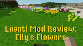 Elly's Flowers