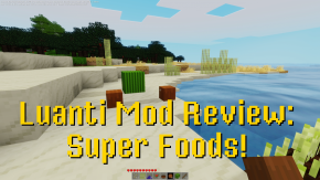 Super Food!
